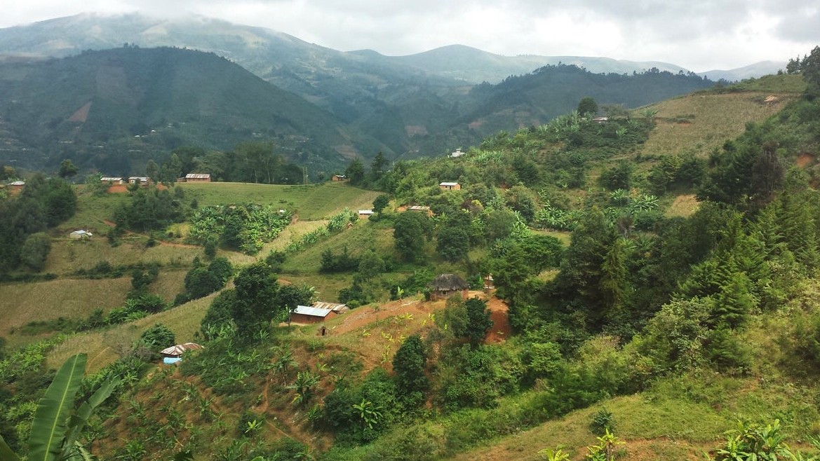 Tanzania Farms